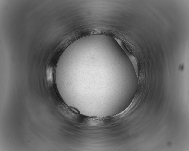 X0000100190094200806131217