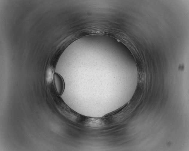 X0000100190095200806131217