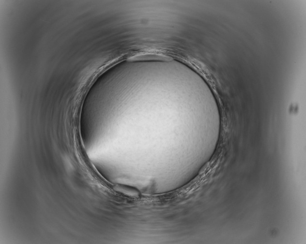 X0000100190097200806131216