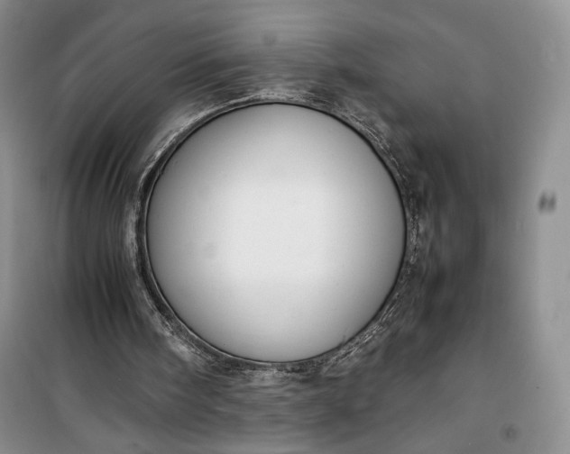 X0000100190098200806131216