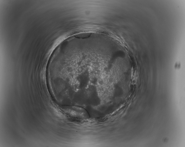 X0000100190099200806131216