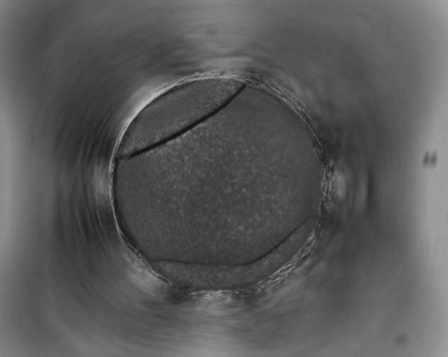 X0000100190100200806131216