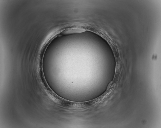 X0000100190101200806131216