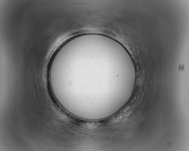 X0000100190103200806131216