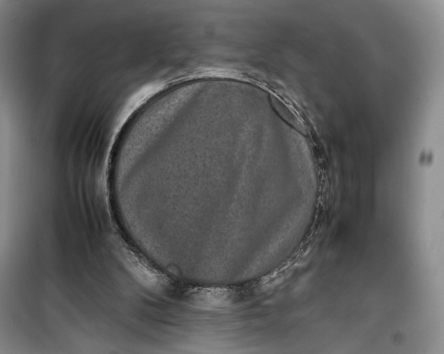 X0000100190104200806131216