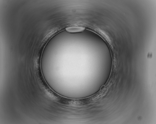 X0000100190105200806131216