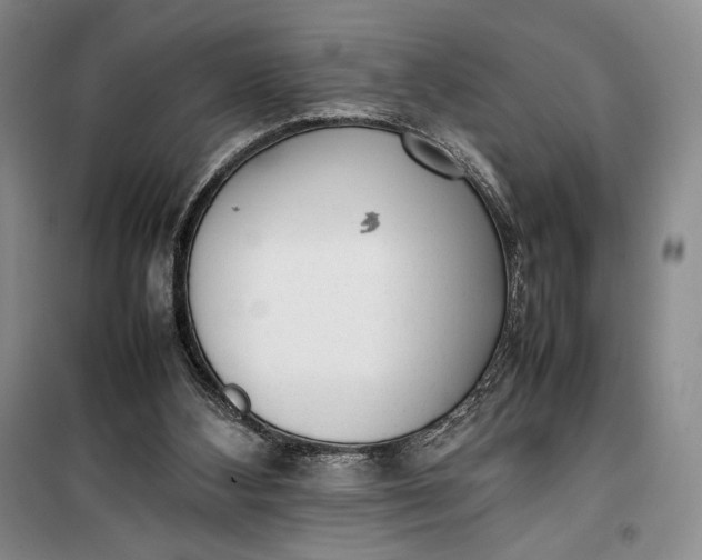 X0000100190108200806131216