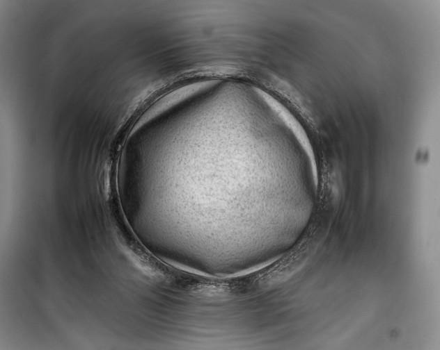 X0000100190110200806131216