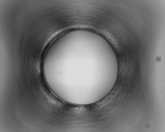 X0000100190112200806131216