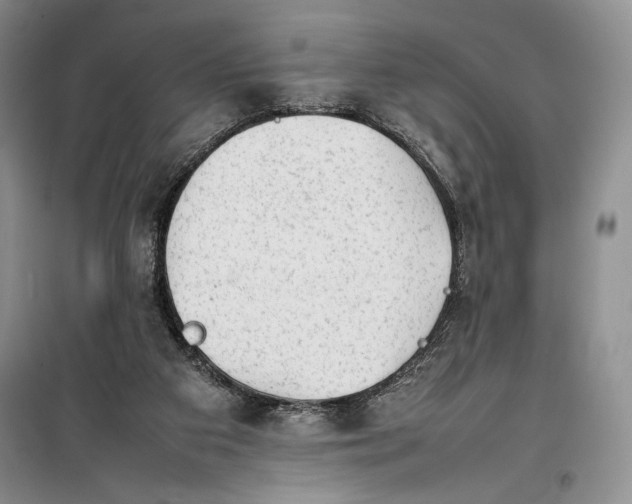 X0000100190113200806131216