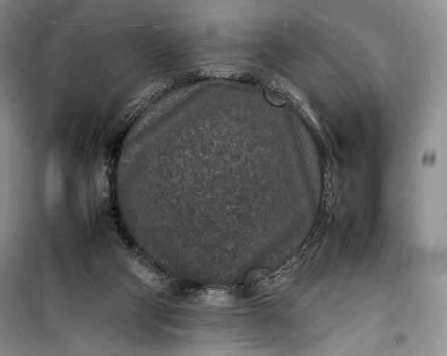 X0000100190114200806131216