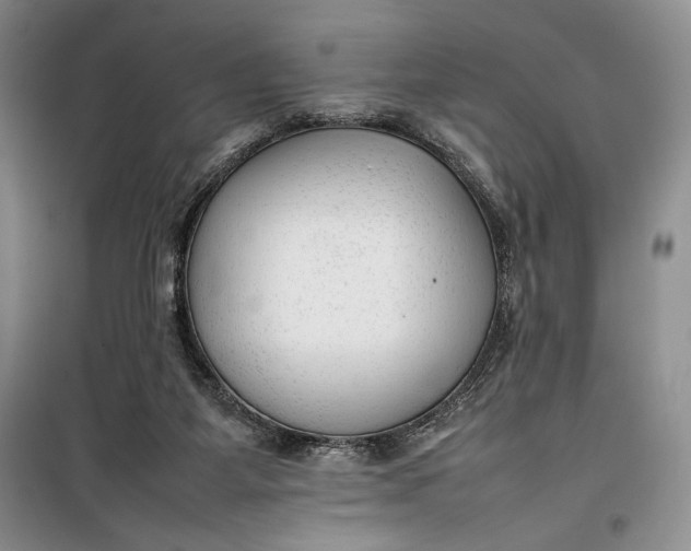 X0000100190115200806131216