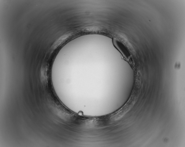 X0000100190116200806131216