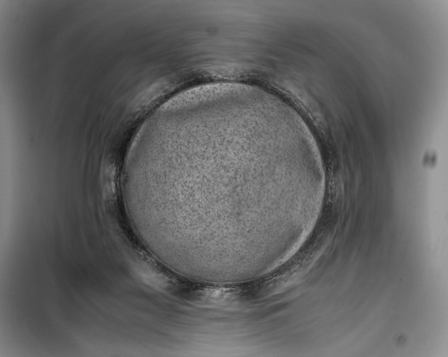 X0000100190117200806131216