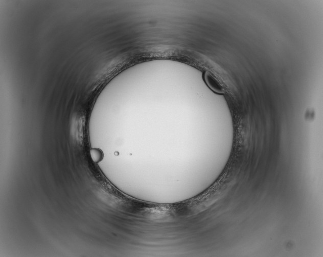 X0000100190118200806131216