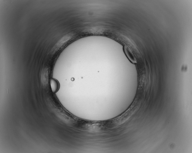 X0000100190120200806131216