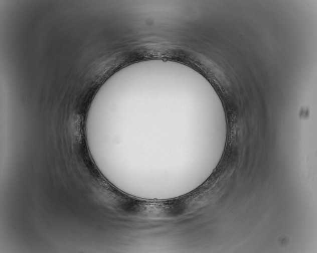 X0000100190121200806131216