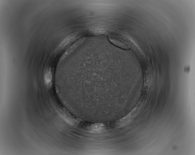 X0000100190124200806131216