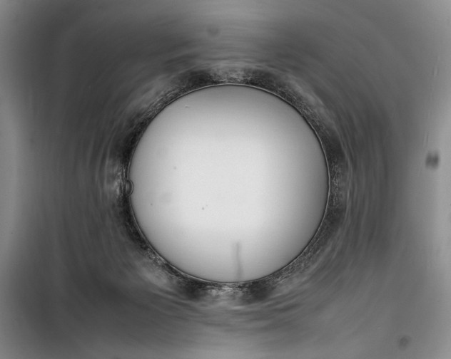 X0000100190125200806131216