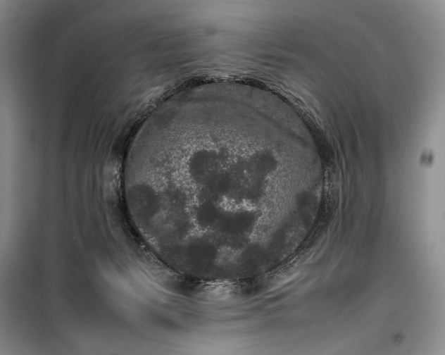 X0000100190127200806131216