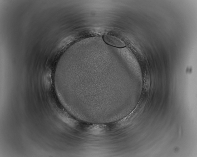 X0000100190128200806131216