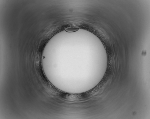 X0000100190129200806131216