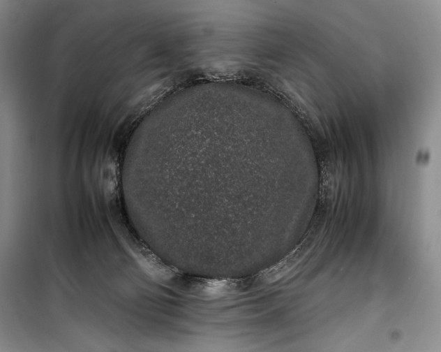 X0000100190130200806131216