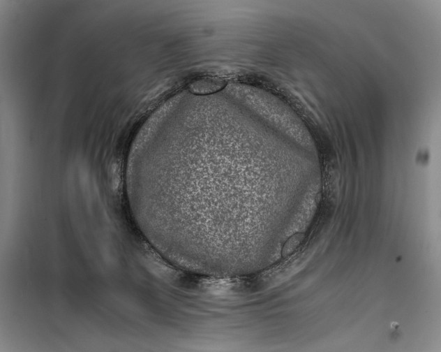 X0000100190131200806131216