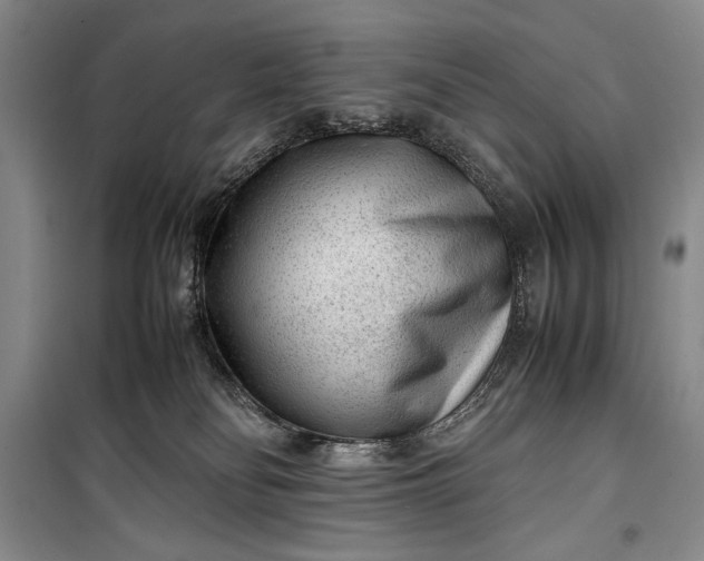 X0000100190134200806131216