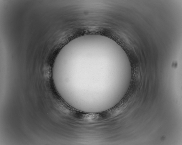 X0000100190135200806131216