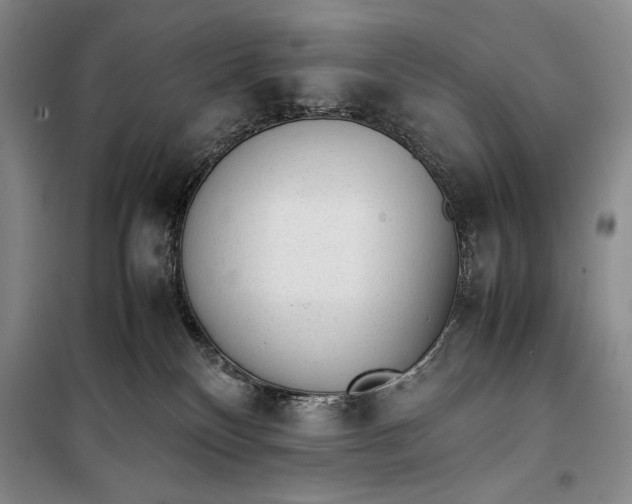 X0000100190136200806131216