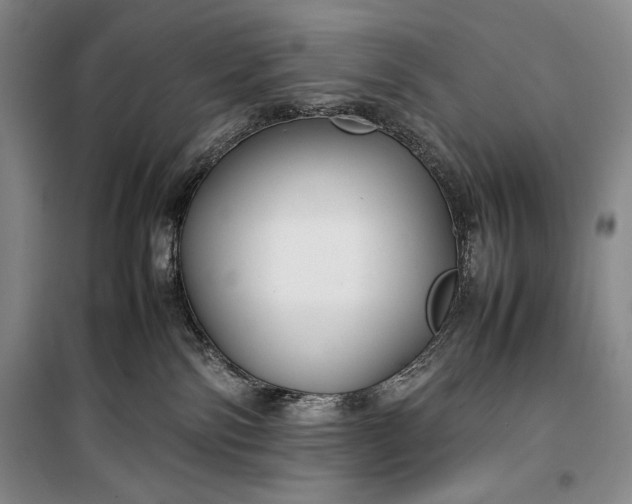 X0000100190138200806131216