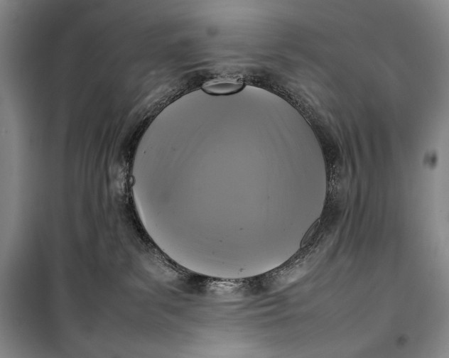 X0000100190139200806131216