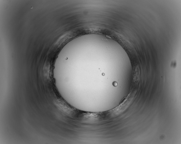 X0000100190140200806131216