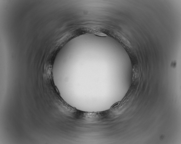 X0000100190141200806131216