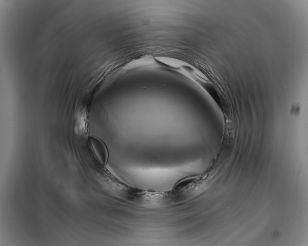 X0000100190143200806131216