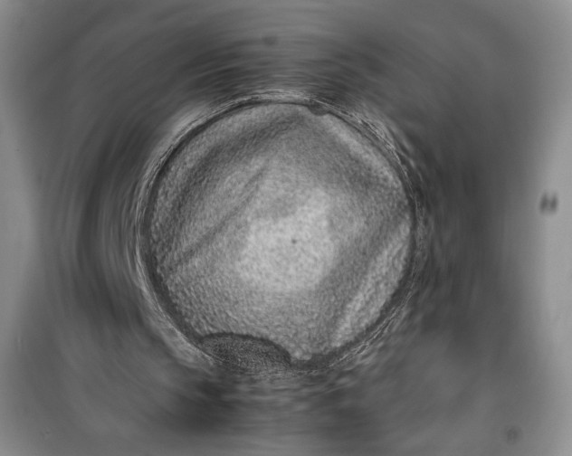 X0000100190145200806131215