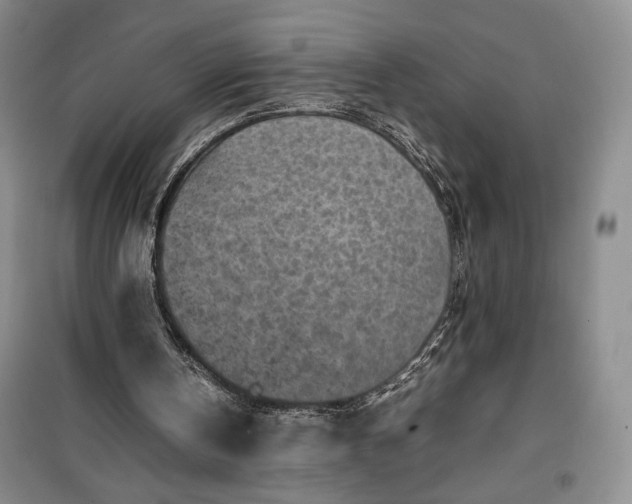 X0000100190146200806131215