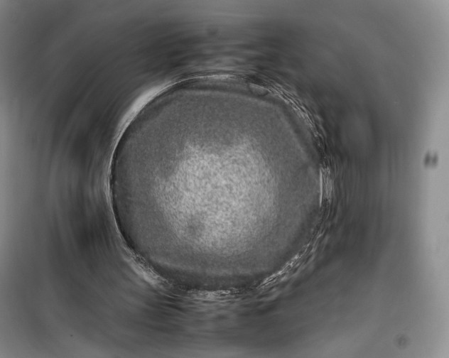 X0000100190147200806131215