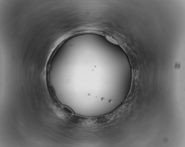 X0000100190148200806131215