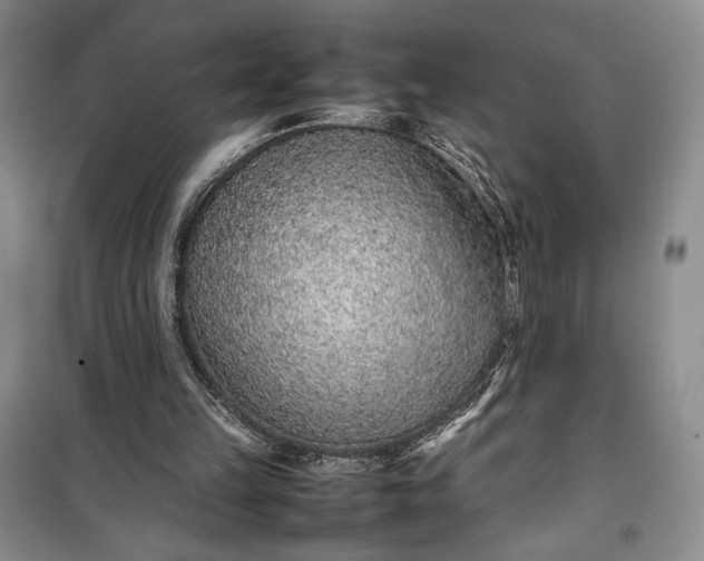 X0000100190149200806131215