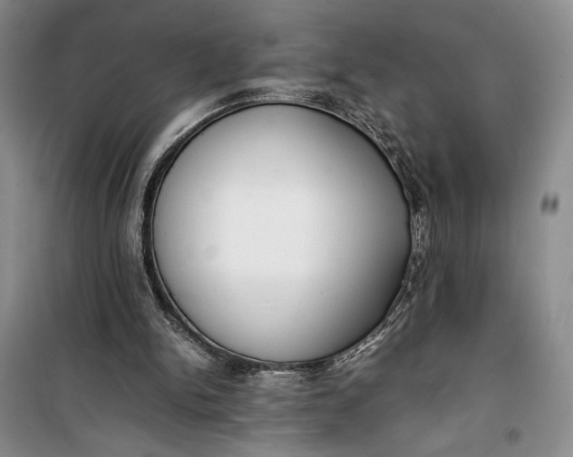 X0000100190150200806131215