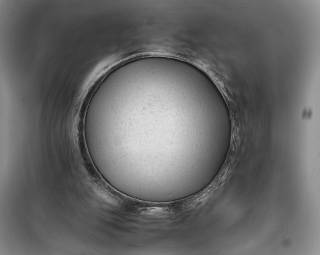 X0000100190151200806131215