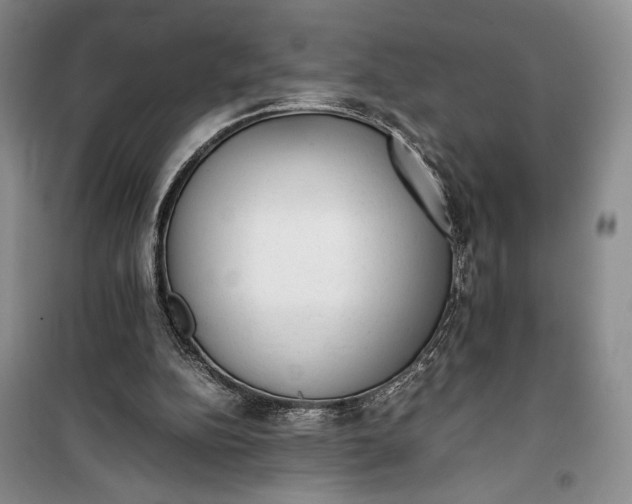 X0000100190152200806131215