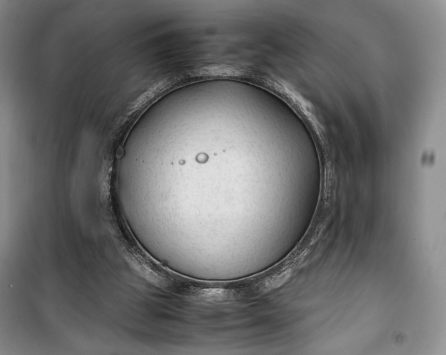 X0000100190153200806131215