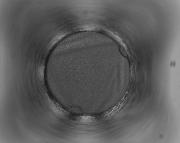 X0000100190154200806131215