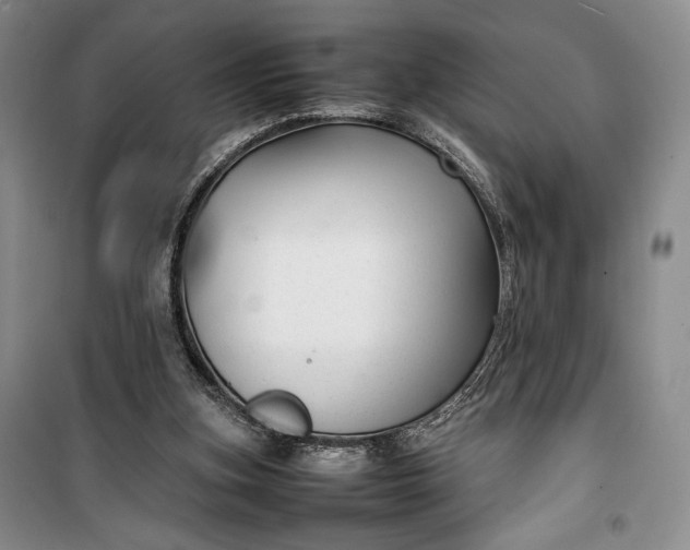 X0000100190155200806131215