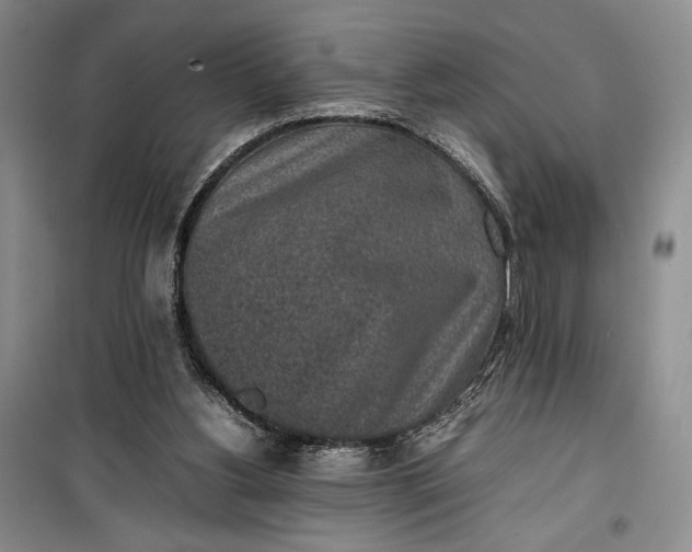 X0000100190156200806131215