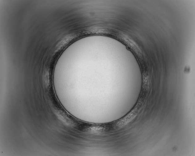 X0000100190158200806131215