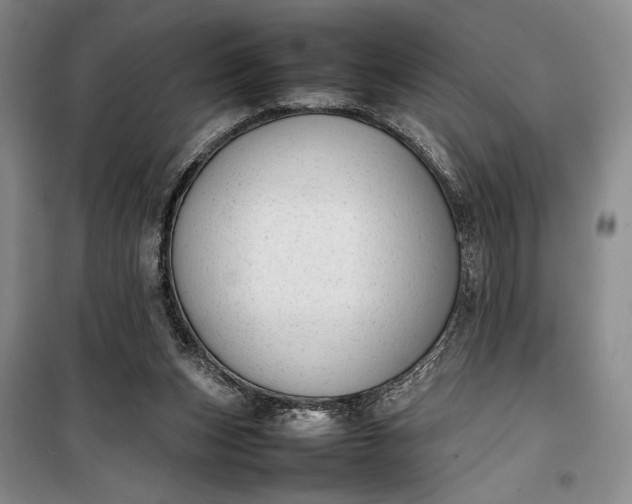 X0000100190159200806131215